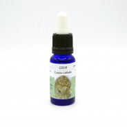 Esencia de Cuarzo Rutilado 15ml