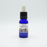 Esencia de Dondiego de Noche 15ml