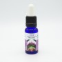 Esencia de Orquídea Recuerdos 15ml
