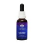 Combinación ELECTRO ESSENCE 30ml