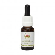 Esencia de Autumn Leaves 15ml
