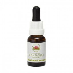 Esencia de Autumn Leaves 15ml