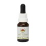 Esencia de Bush Gardenia 15ml