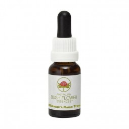 Esencia de Illawarra Flame Tree 15ml