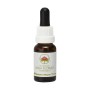 Esencia de Illawarra Flame Tree 15ml