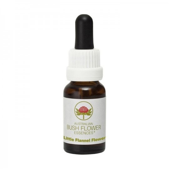Esencia de Little Flannel Flower 15ml