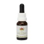Esencia de Little Flannel Flower 15ml