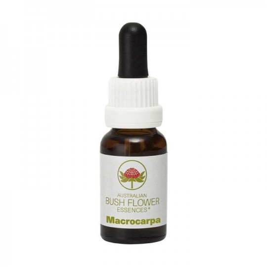 Esencia de Macrocarpa 15ml