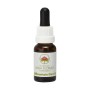 Esencia de Mountain Devil 15ml