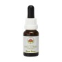 Esencia de Paw Paw 15ml