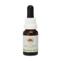 Esencia de Pink Mulla Mulla 15ml