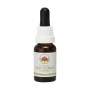 Esencia de Red Helmet Orchid 15ml