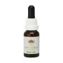 Esencia de Red Lily 15ml