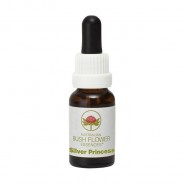 Esencia de Silver Princess 15ml