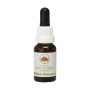 Esencia de Silver Princess 15ml