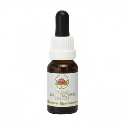 Esencia de Slender Rice Flower 15ml