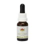 Esencia de Southern Cross 15ml