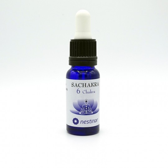 SACHAKR N6 INTUICIÓN