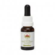 Esencia de Spinifex 15ml