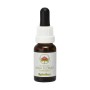 Esencia de Spinifex 15ml