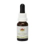 Esencia de Sturt Desert Pea 15ml