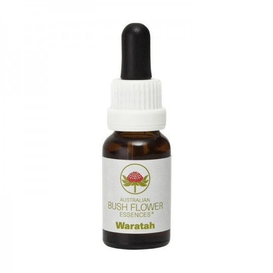 Esencia de Waratah 15ml