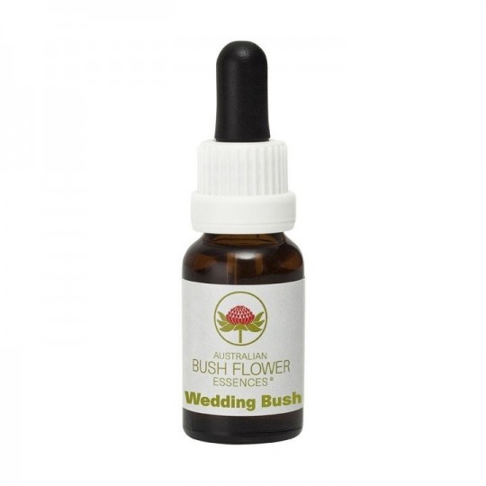 Esencia de Wedding Bush 15ml