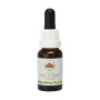 Esencia de Wedding Bush 15ml