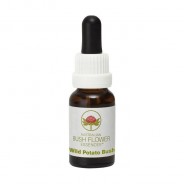Esencia de Wild Potato Bush 15ml