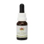 Esencia de Wild Potato Bush 15ml