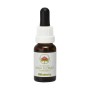 Esencia de Wisteria 15ml