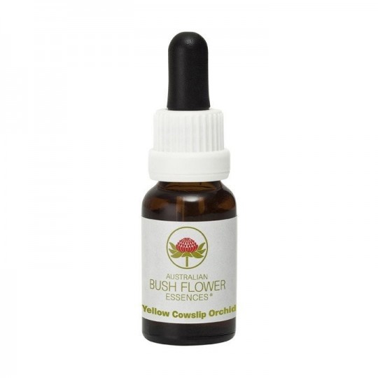 Esencia de Yellow Cowslip Orchid 15ml