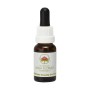 Esencia de Yellow Cowslip Orchid 15ml