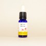 Esencia de Albaricoque 15ml