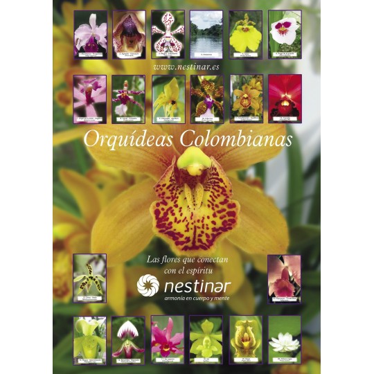 Poster Orquídeas Colombianas