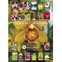 Poster Orquídeas Colombianas