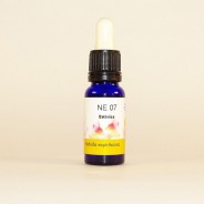Esencia de Betónica 15ml