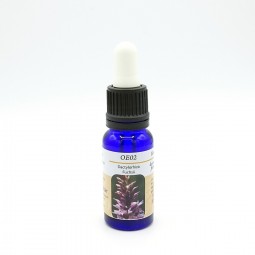 Esencia de Orquídea Europea n02 DACTYLORHIZA FUCHSII 15ml