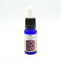 Esencia de Orquídea Europea n06 GYMNADENIA CONOPSEA 15ml