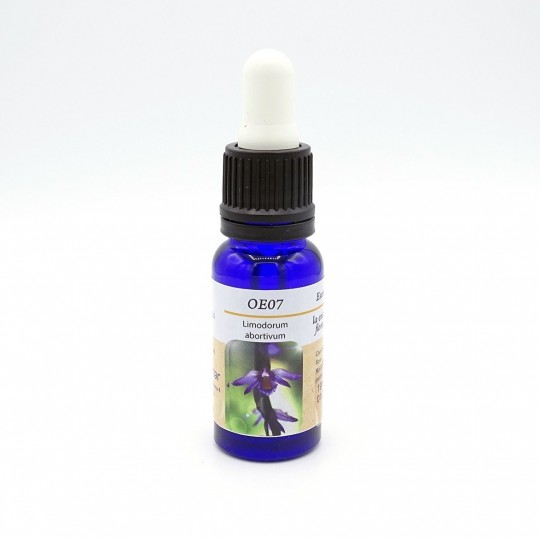 Esencia de Orquídea Europea n07 LIMODORUM ABORTIVUM 15ml