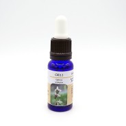 Esencia de Orquídea Europea n11 OPHRYS SCOLOPAX 15ml