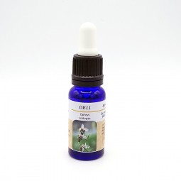 Esencia de Orquídea Europea n11 OPHRYS SCOLOPAX 15ml