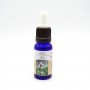 Esencia de Orquídea Europea n11 OPHRYS SCOLOPAX 15ml