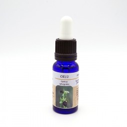 Esencia de Orquídea Europea n12 OPHRYS SPHEGODES 15ml
