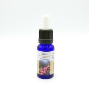 Esencia de Orquídea Europea n13 OPHRYS TENTHREDINIFERA 15ml