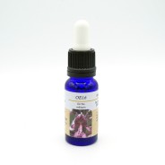 Esencia de Orquídea Europea n16 ORCHIS MILITARIS 15ml