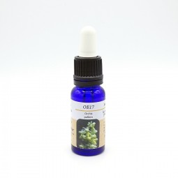 Esencia de Orquídea Europea n17 ORCHIS PALLENS 15ml