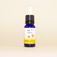 Esencia de Calabacín 15ml