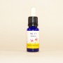 Esencia de Calabacín 15ml