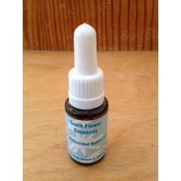 MATERNIDAD NUEVE LUNAS